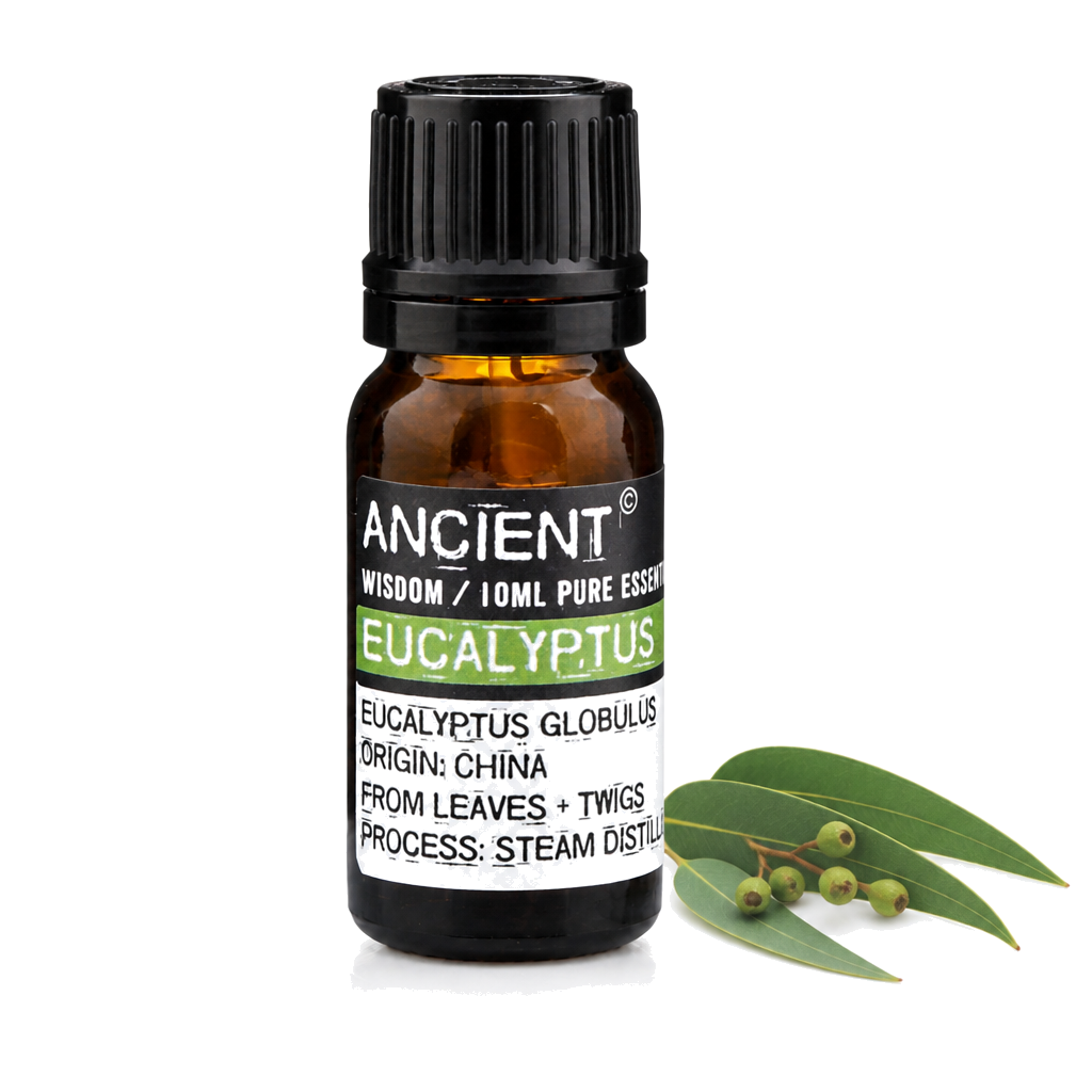 10 ml Eucalyptus Essential Oil — clean white packshot