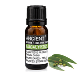 10 ml Eucalyptus Essential Oil — clean white packshot