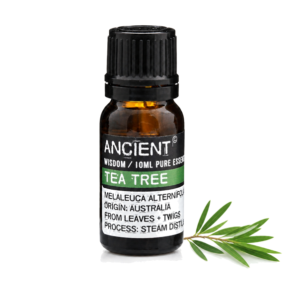 10 ml Tea Tree Essential Oil — clean white packshot