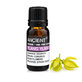 Ylang Ylang Essential Oil