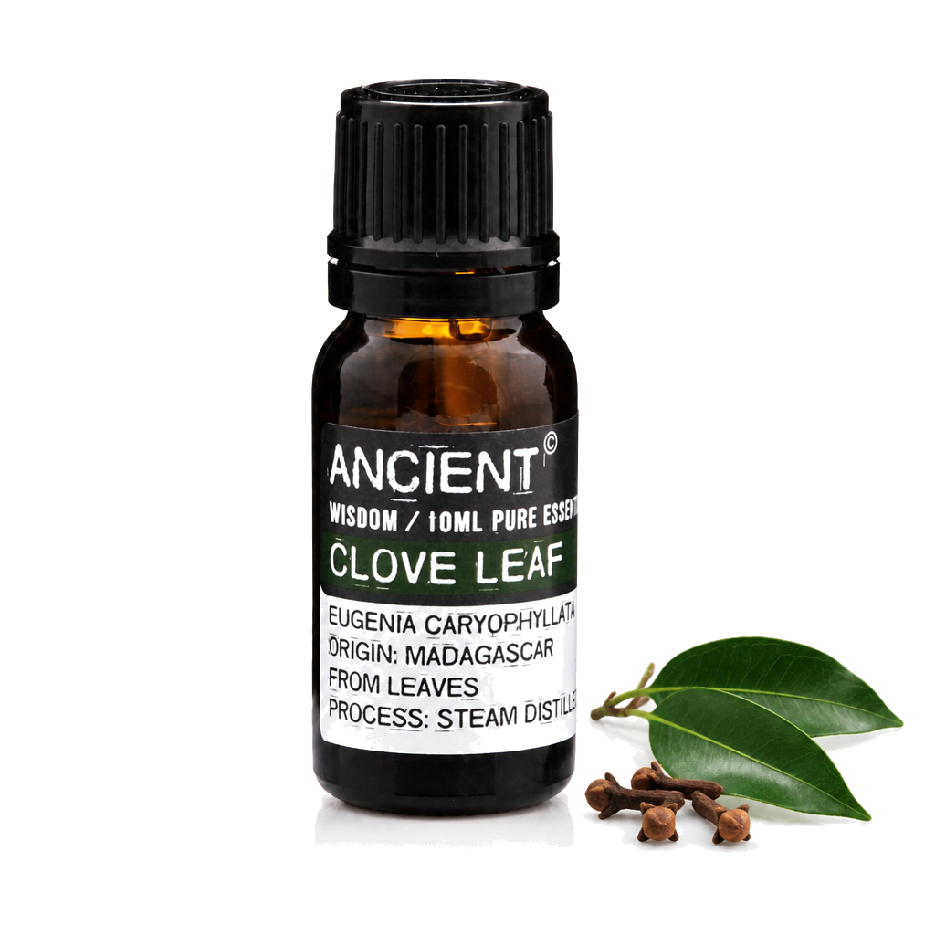 10 ml Clove Leaf Essential Oil — clean white packshot