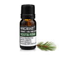 Scots Pine Essential Oil