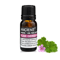 Rose Geranium Essential Oil