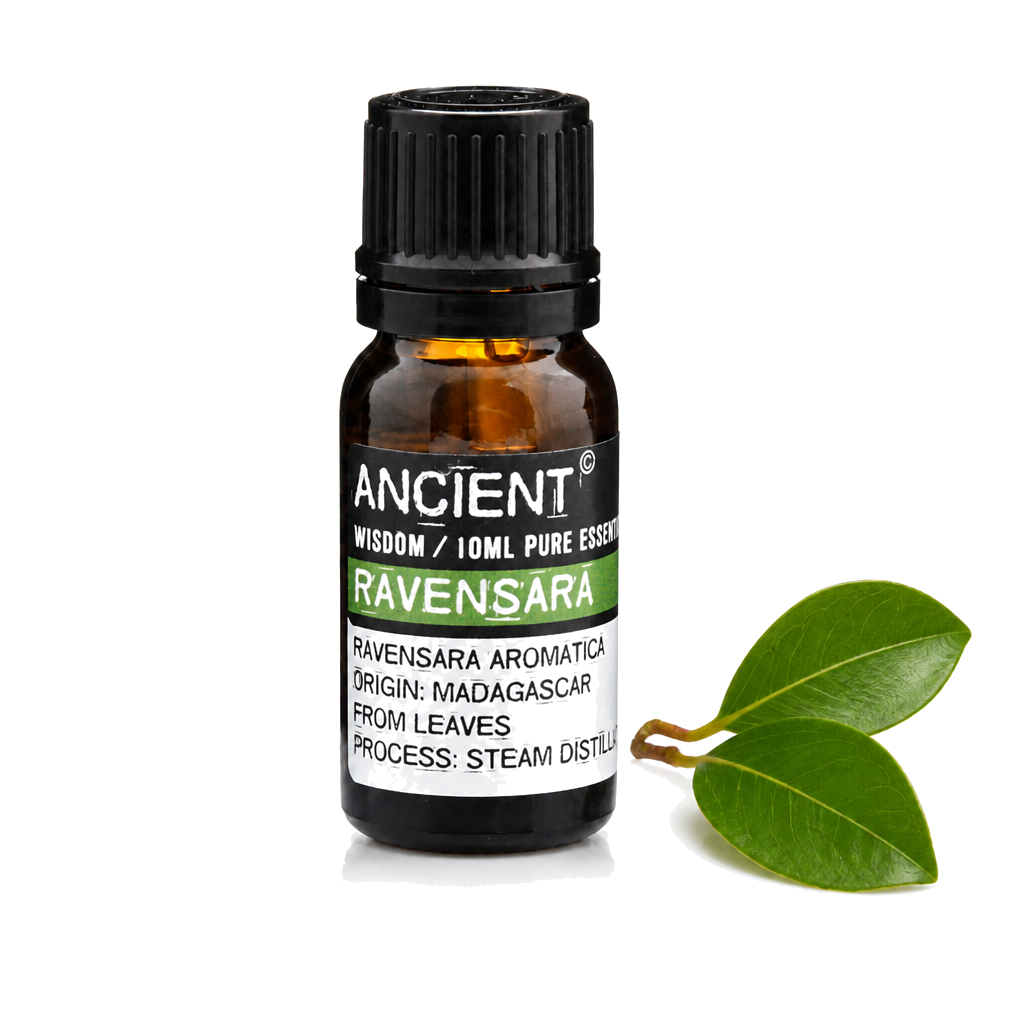 10 ml Ravensara Essential Oil — clean white packshot
