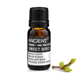 10 ml Sweet Birch Essential Oil — clean white packshot