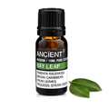 Bay Leaf Essential Oil