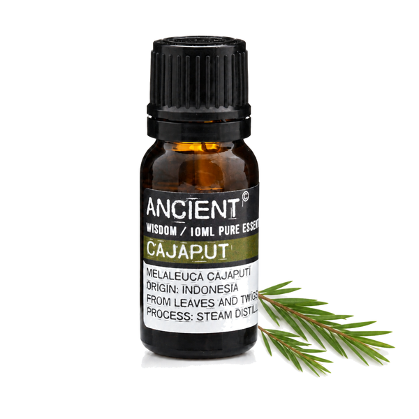 10 ml Cajaput Essential Oil — clean white packshot