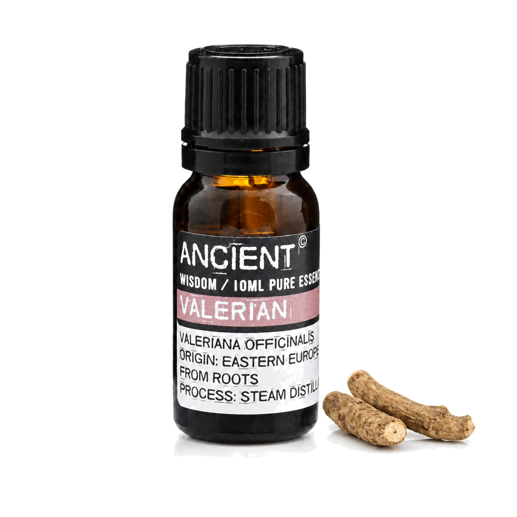Valerian Essential Oil 10ml — clean white packshot