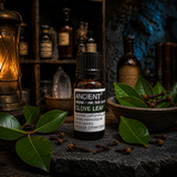 10 ml Clove Leaf Essential Oil — apothecary hero
