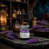 English Lavender Essential Oil 10ml — apothecary hero