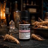 Valerian Essential Oil 10ml — apothecary detail