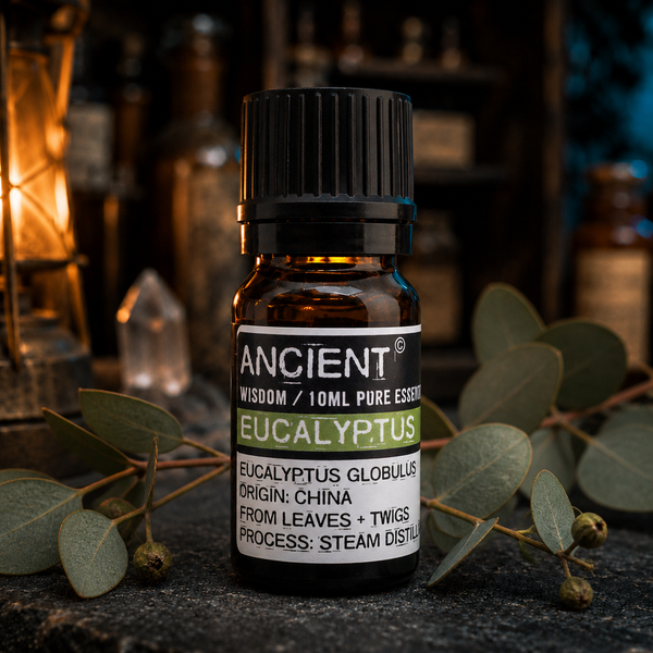 10 ml Eucalyptus Essential Oil — apothecary detail