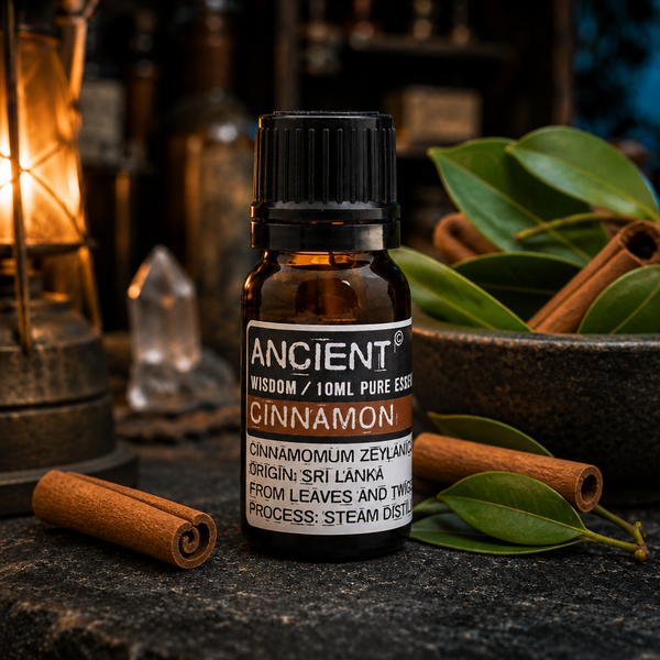 10 ml Cinnamon Essential Oil — apothecary detail