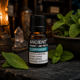 10 ml Cornmint — apothecary detail