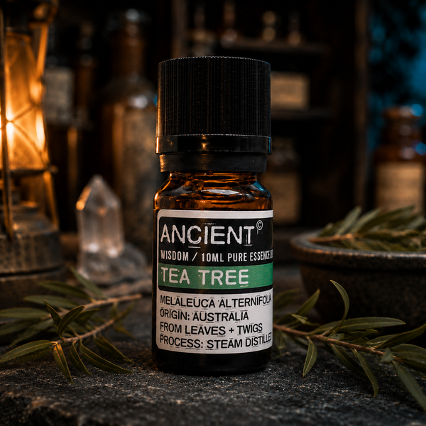 10 ml Tea Tree Essential Oil — apothecary detail