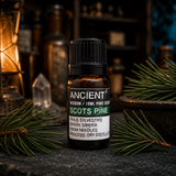10 ml Pine Sylvestris (Scots Pine) Essential Oil — apothecary detail