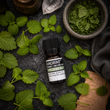 10 ml Melissa (Blend) Essential Oil — overhead lifestyle flat lay