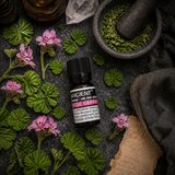 10 ml Rose Geranium Essential Oil — overhead lifestyle flat lay