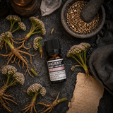 Valerian Essential Oil 10ml — overhead lifestyle flat lay